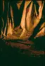 Forest mystical backdrop - enchanted woodland scene with dramatic lighting and natural textures for fantasy film productions and photography